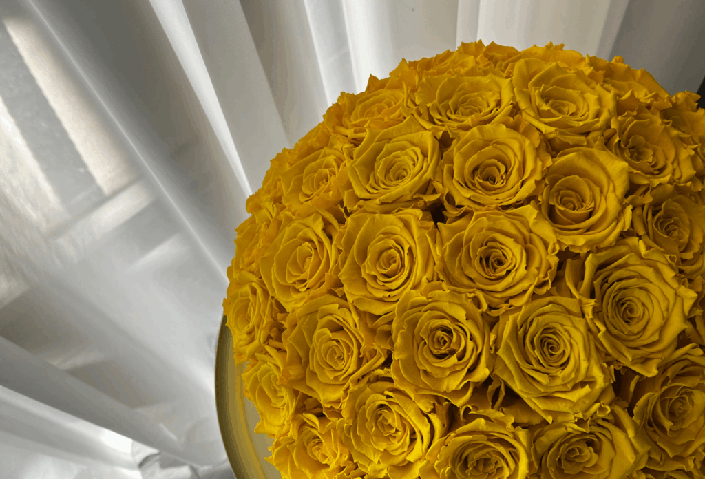 golden lighted yellow roses in front f a white cushion and lights.